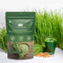 Organic Wheat Grass Powder (8.8 Ounce/250gm), Non-GMO, Vegan Superfood for Antioxidant, Energy, Detox, Immunity Booster