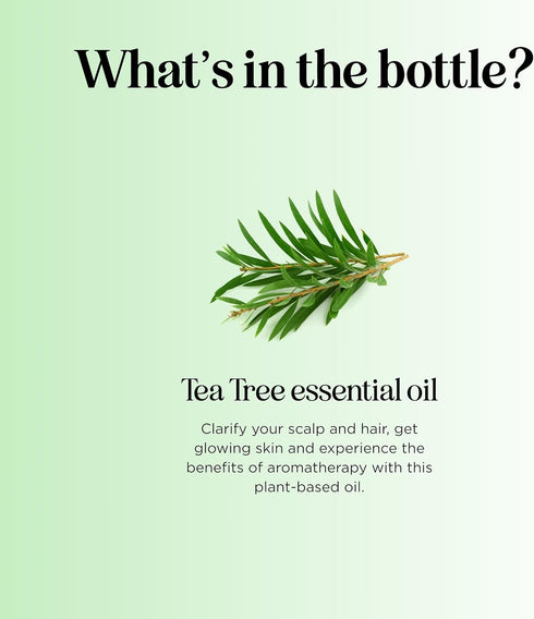 Pure Tea Tree Oil for Hair, Skin, and Nails - 100% Pure Essential Oil with Dropper for Aromatherapy - 4 Fl Oz