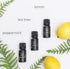 Set 9 Pack 0.34 oz Set Set Fragrance Oil Bottle - Therapeutic Grade Oils Gift - Premium Aromatherapy Oils Pure Organic