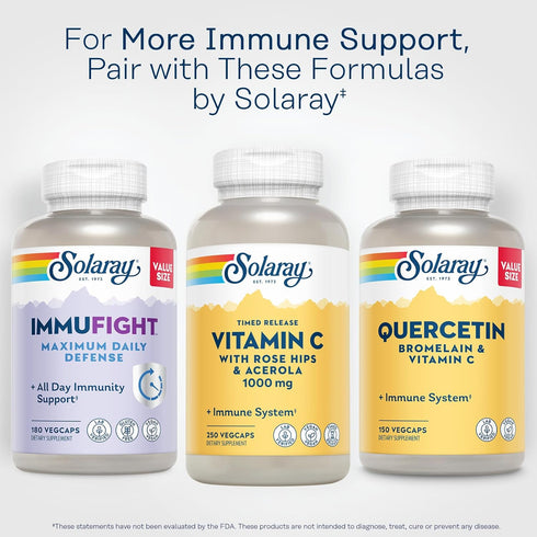 SOLARAY Vitamin C 1000mg with Rose HIPS & Acerola | 250 Ct | Two-Stage Timed-Release Immune Support & Antioxidant