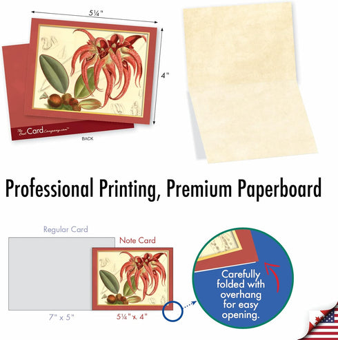 The Best Card Company - 10 Boxed Note Cards with Flowers, Blank Assorted Floral Notecards Bulk, Tiger Orchids M10037BK