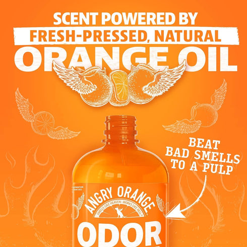 Angry Orange Pet Odor Eliminator, Citrus Deodorizer for Strong Dog or Cat Pee Smells, 2 Pack for Carpet, Furniture &