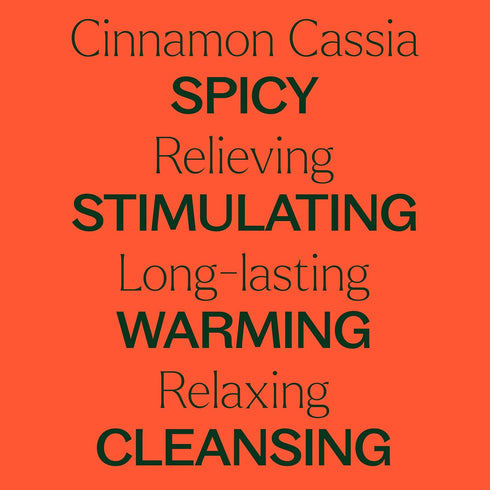 Plant Therapy Cinnamon Cassia Essential Oil 30 mL (1 oz) 100% Pure, Undiluted