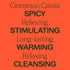 Plant Therapy Cinnamon Cassia Essential Oil 30 mL (1 oz) 100% Pure, Undiluted