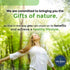 Echinacea Supplement - Natural & Organic - 60 Capsules