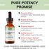 USDA Organic Liquid Turmeric, Boswellia & Ginger with Black Pepper - 60 Servings for Joint, Muscle, Heart Support