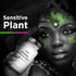 Amen Organic Mimosa Pudica Seeds Capsules, Vegan Plant Supplement, 120 Capsules, 2 Month Supply