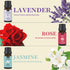 Essential Oils Set | 6 x 10 ML for Diffuser, Aromatherapy, Candle & Soap Making