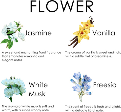 Set 8 (10mL) Essential Oils - Top Blends for Diffusers, Candle Making Scents, Fragrance, Aromatherapy, Gifts - Coconut