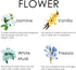 Set 8 (10mL) Essential Oils - Top Blends for Diffusers, Candle Making Scents, Fragrance, Aromatherapy, Gifts - Coconut