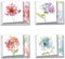 12 Assorted Blank Note Cards, 4 x 5.12 Inch, Boxed All Occasion Notecards by The Best Card Company