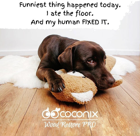 Coconix Floor & Furniture Repair Kit - Fix Scratches, Scuffs, and Dents on Hardwood Floors, Furniture, and Laminate