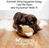 Coconix Floor & Furniture Repair Kit - Fix Scratches, Scuffs, and Dents on Hardwood Floors, Furniture, and Laminate