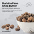 Nature Republic 100 ml Shea Butter Steam Cream, Moisturizer, Facial Cream, Nourishing Skincare