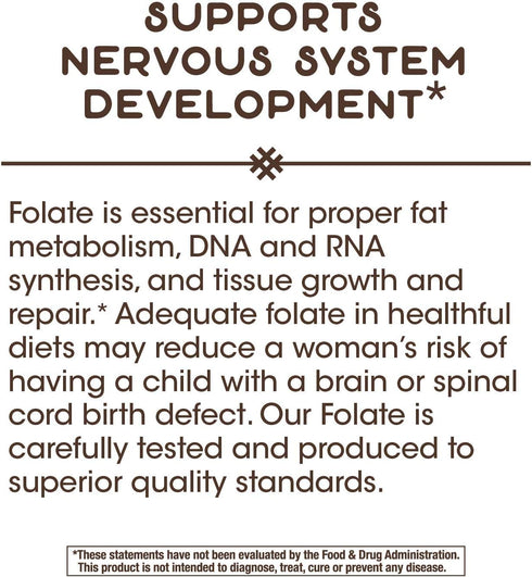 Nature's Way Folic Acid, 800 mcg DFE per Serving, 100 Capsules