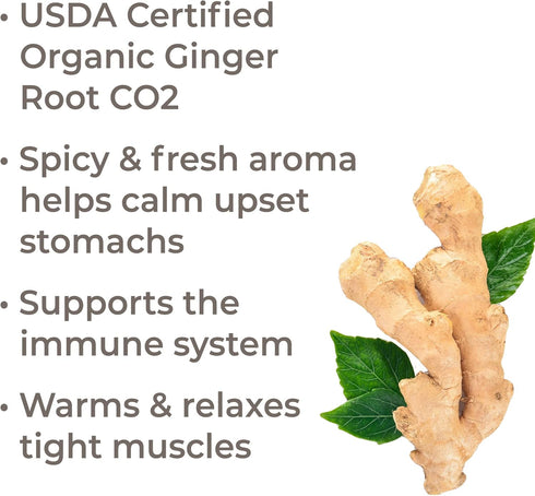 Plant Therapy Organic Ginger Root CO2 Essential Oil 10 mL (1/3 oz) 100% Pure, Undiluted, Natural Aromatherapy
