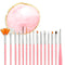 Nail Art Tool Set, 15 PCS Brushes, Resin Painting Palette, Detail Brush, Nail Dotting Pen for DIY Manicure (Pink)