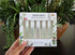 Herb & Root 5 Piece Perfume Gift Set for Women, Perfume Spray Trial Set, Musky Wood Cologne Set for Men