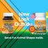 NaturesPlus Animal Parade KidZinc, 90 Lozenges, Tangerine Flavor, Vegan, Gluten Free