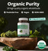 USDA Organic Greens Powder (180 Tablets) Complete Superfood Supplement with 28 Fruits & Vegetables for Energy & Immune