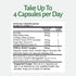 InflamEase, Day or Night Use, Gluten-Free, 60 Vegetarian Capsules