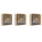 Plantlife Oatmeal Almond 3-Pack Bar Soap - Moisturizing and Soothing Handcrafted Soap - 4oz Bar