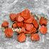 Raw Red Jasper Stone Crystals Bulk, Real Gemstones and Crystals, Healing Stones, Cuarzos Originales De Energia (1LB)