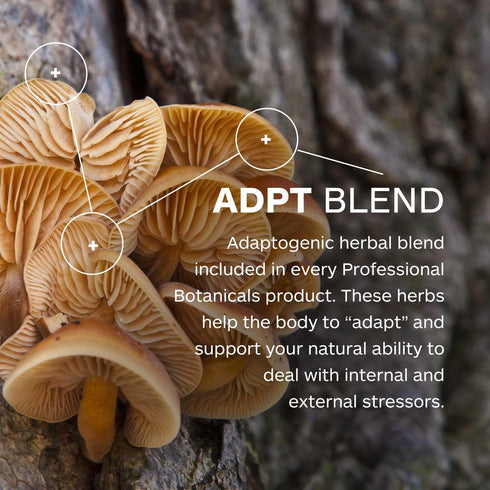 Calm Attention - Natural Attention and Mood Support with Rosemary, Vitamin B6, Gotu Kola, Focus, Relaxation, and