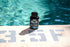 ONNIT Antarctic Krill Oil, 1000mg, Omega-3s, EPA, DHA, Supports Healthy Joints, Brain, Heart, No Fishy Taste