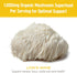 Om Mushroom Superfood Lion's Mane Gummies - USA Grown Organic Mushrooms for Memory, Focus & Mood Support