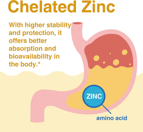 Lovita Zinc 50mg - Potent Highly-Absorbed Chelated Zinc Supplements, Picolinate & Bisglycinate - Vegan, Gluten Free,