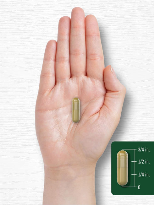 Carlyle Siberian Eleuthero | 2400mg | 300 Capsules | Non-GMO and Gluten Free Siberian Ginseng Herbal Supplement