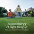 New Chapter Iron Supplement - Whole-Food Fermented Iron Complex with Organic Vegetables & Herbs, Non-Constipating Dose,