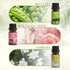 Spring Essential Oils Set, ARVIDSSON Natural Fragrance Oil for Diffuser, Candle Making - After Rain, Ocean Breeze,