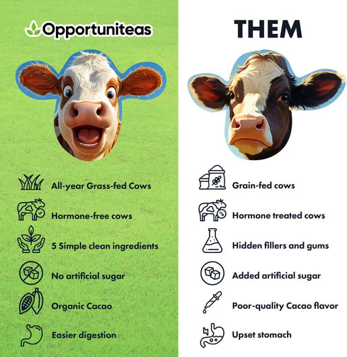 Opportuniteas Grass Fed Chocolate Whey Protein Isolate Powder - 20g Protein - 1lb, Non-GMO, Hormone-Free