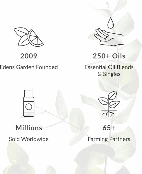 Edens Garden Frankincense-Serrata Essential Oil 10 ml, 100% Pure Therapeutic Grade Undiluted Aromatherapy Oil Singles.