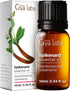Set Set Spikenard Essential Oil for Diffuser & Cinnamon Cassia Essential Oil - Aromatherapy Grade Essential Oils - Gya