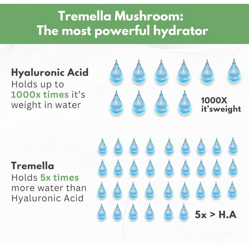 Natural Hyaluronic Acid Supplement, 5X Stronger Hydration Pills from Pure Tremella Mushroom with Vitamin C & Hibiscus