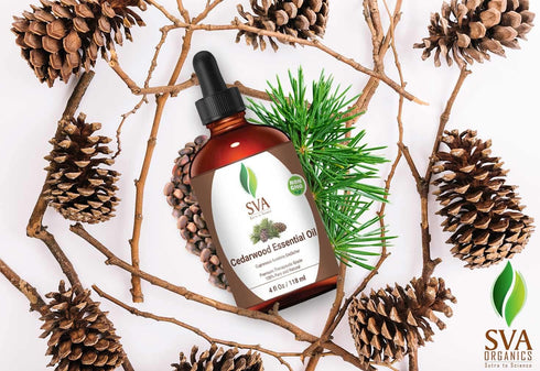 SVA Cedarwood Essential Oil Skin 4 Oz (118 ml) | 100% Pure Therapeutic Grade- Great for Diffuser, Woody & Calm, Glowing Skin, Healthy Hair & Scalp, Aromatherapy, Soaps and Candles.