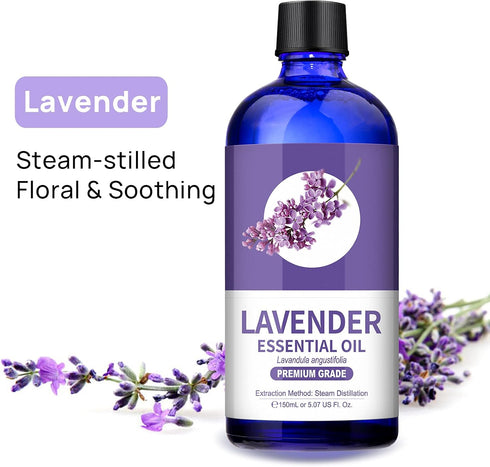 Lagunamoon Lavender Essential Oil, Pure Essential Oils for Diffusers, Aromatherapy, Relaxing Fragrance Scents (150ml)