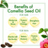 Oshima Tsubaki Camellia Seed Oil, 100% Pure and Natural, 2.03 fl oz (60ml)