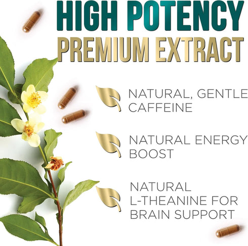 Green Tea Extract Weight Loss Pills 1000mg, 98% Standardized EGCG for Natural Energy and Heart Health