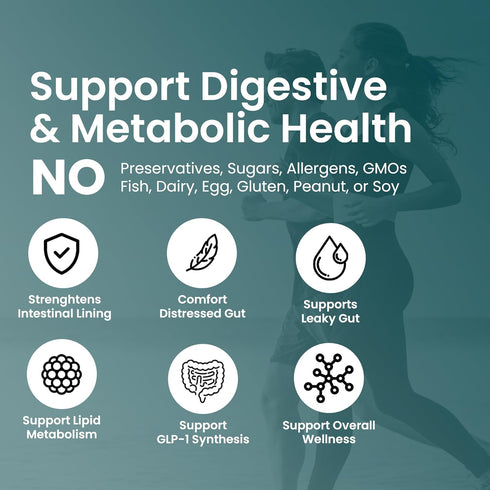 Akkermansia Muciniphila Probiotics | 5 Billion TFU for Digestive Health | Prebiotics & Probiotics for Women & Men | 60