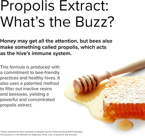 Terry Naturally Propolis Extract EP300, 60 Capsules - Supports Immune System, Upper Respiratory & Children’s Ear Health
