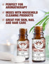 Ethereal Nature 100% Pure Oil - Cinnamon, 1.01 Fluid Ounce