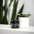 MANE TAME Base Builder 2oz, Prestyling Hair Balm for Medium-Fine Hair, Adds Volume and Texture with Matte Finish