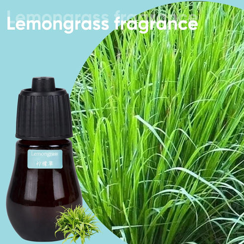 Aromatherapy Essential Oil Set, 3-Piece Set in Eucalyptus, Lemongrass, and Orange Flavors