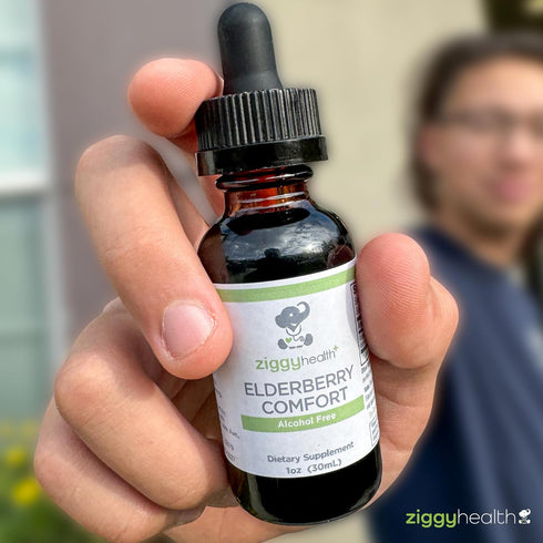 Organic Elderberry Tincture - Liquid Elderberry Drops for Immune Support, Respiratory Defense, 1oz - Ziggy Health