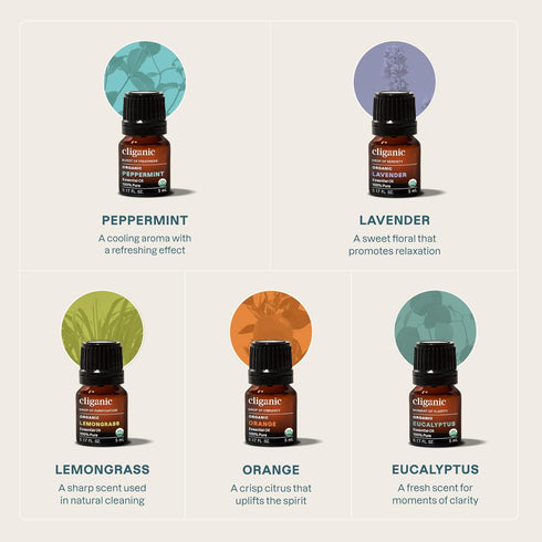 Set 5 15ml) 100% Cliganic Organic Essential Oils (Top x - Pure Natural - Aromatherapy, Candle Making - Peppermint