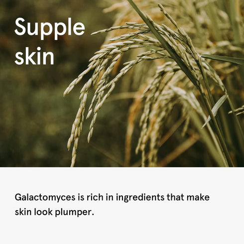 ONE THING Galactomyces Ferment Filtrate Toner 5.07 Fl Oz, Hydrating Daily Essence for Clear Glowy Skin
